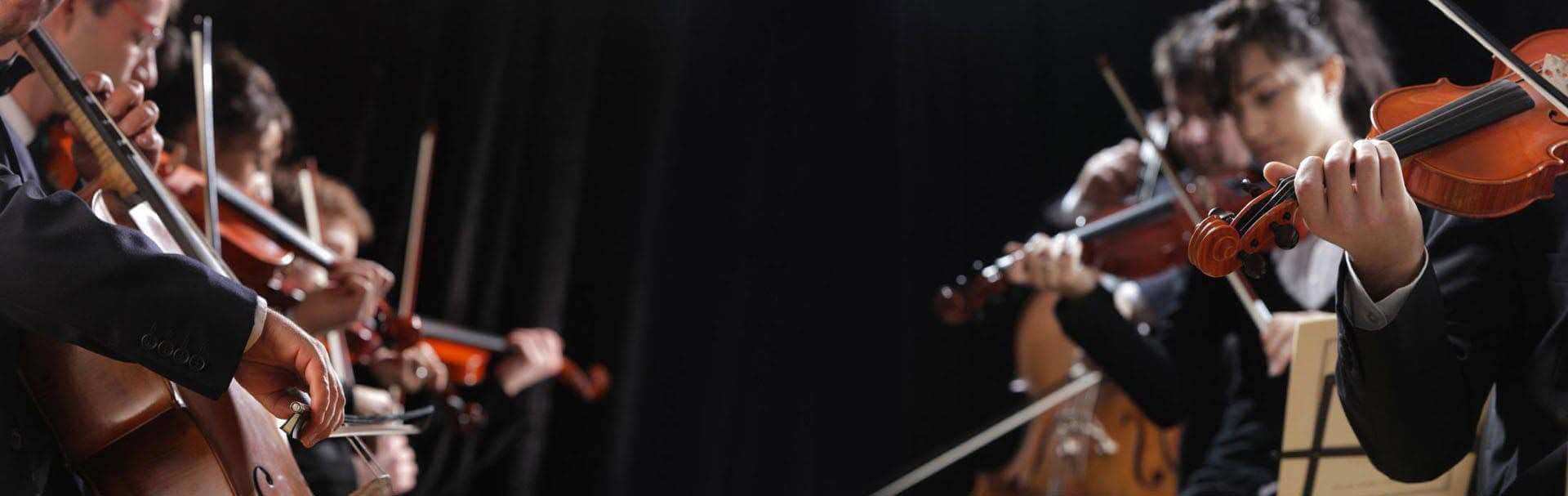 Artistas Profesionales 