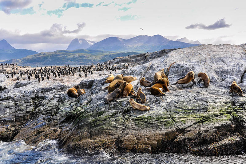 Patagonia Argentina con Iguaz